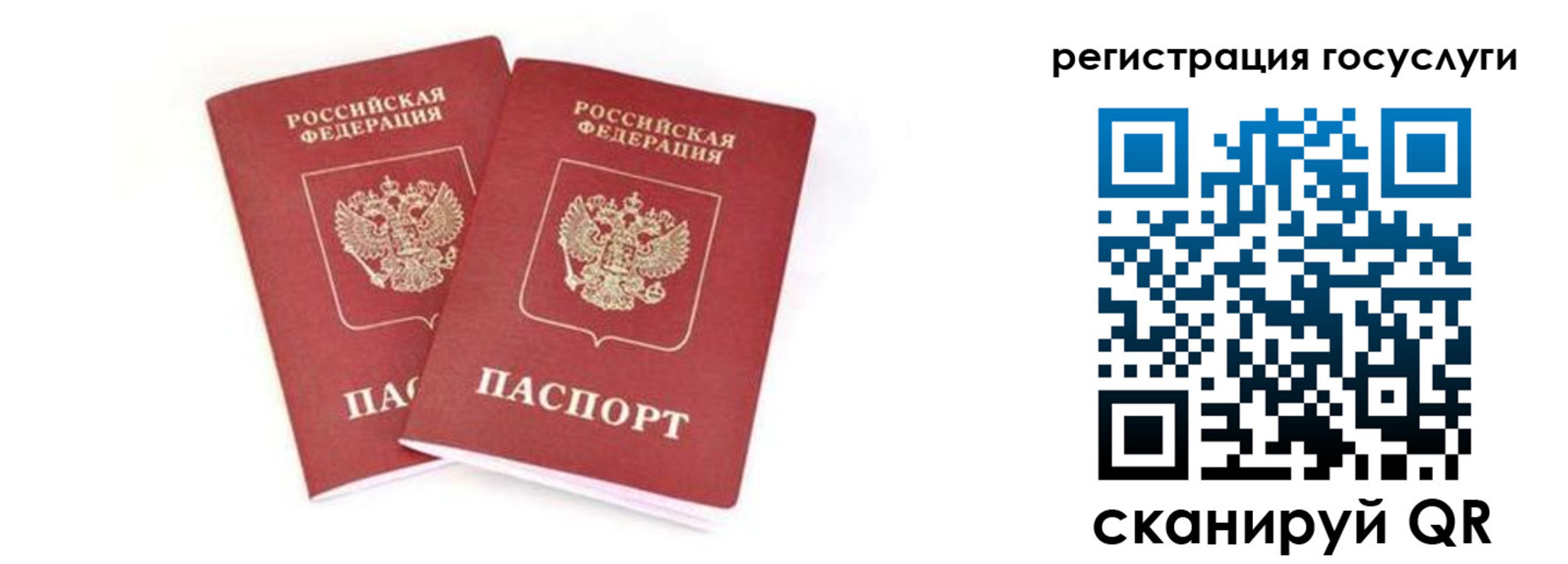 прописка в квартире в Новозыбкове